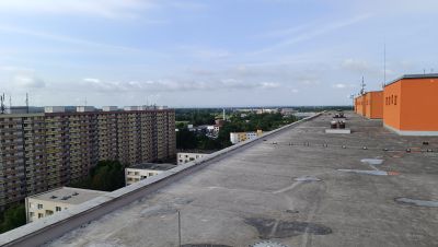 IMG_20260617_083508.jpg