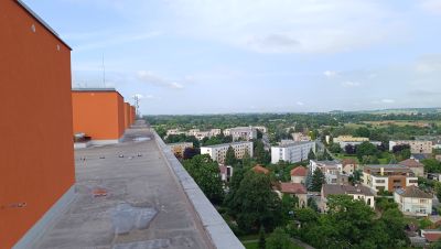 IMG_20260617_083521.jpg